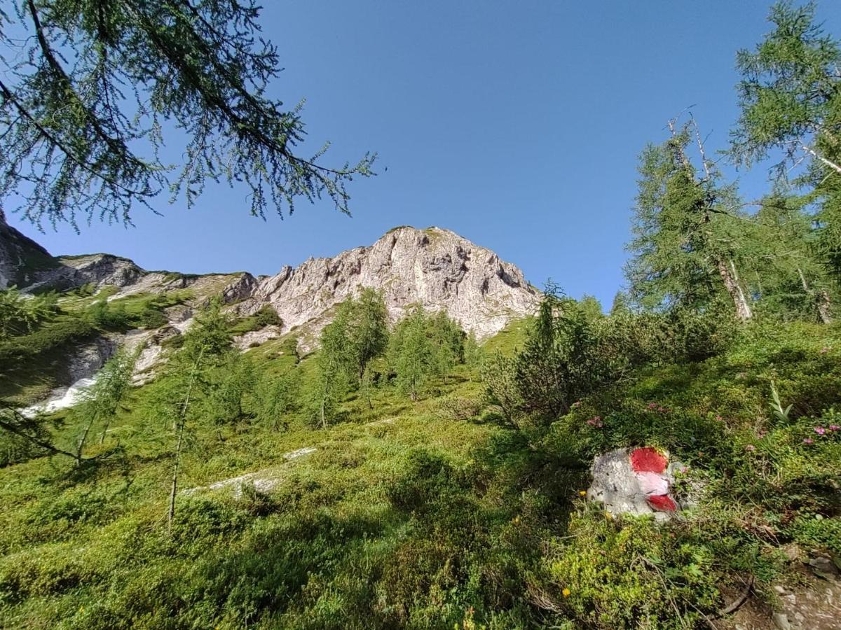 Firstpeak Chalets Zauchensee Ngoại thất bức ảnh